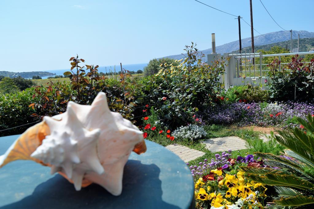 Sandra'S Sea View At Sounio Sounion Exterior foto